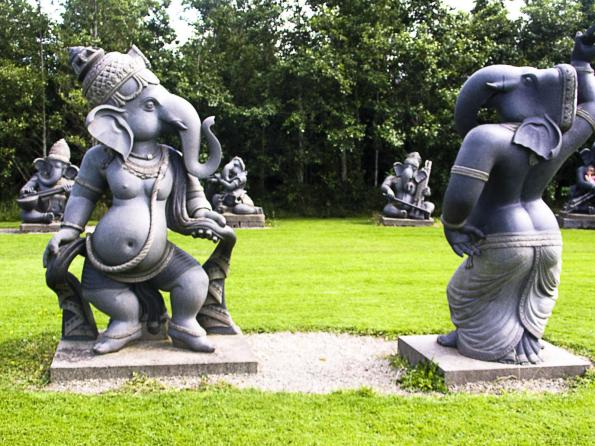 Ganesh-Wicklow-Farms